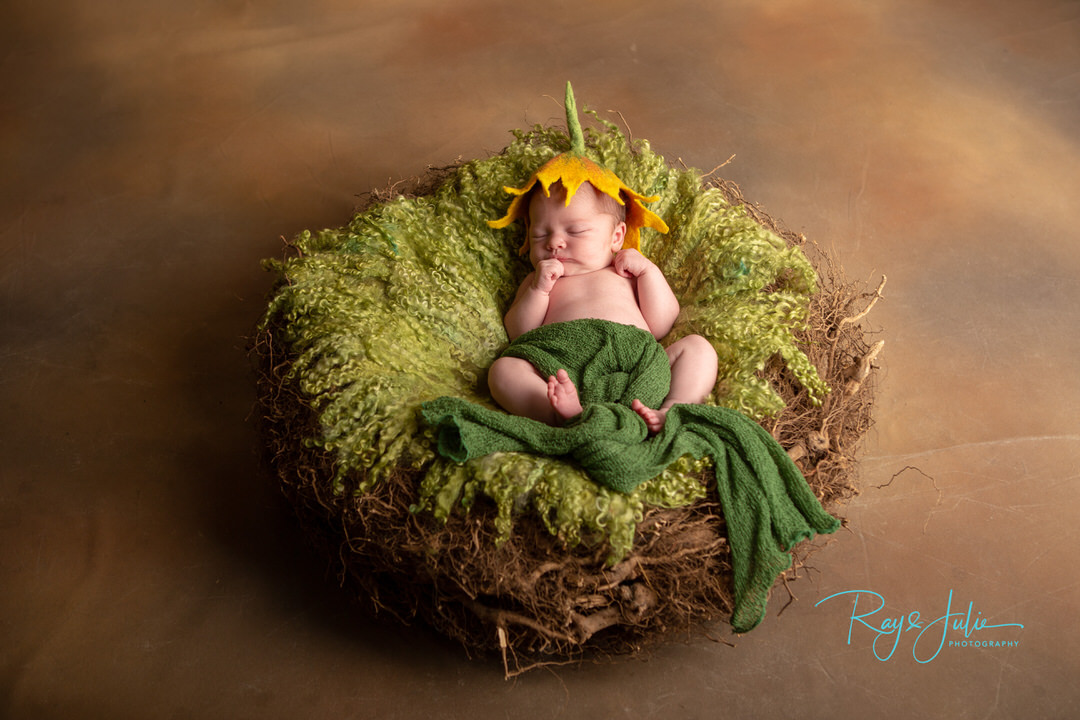 newborn photography- portrait - studio - photography - Yorkshire - Hull