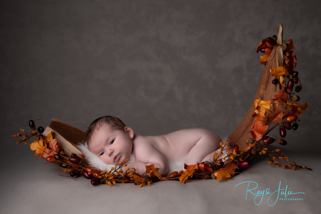 Photographer - Photography - newborn- portrait - studio - photography - Yorkshire - Hull