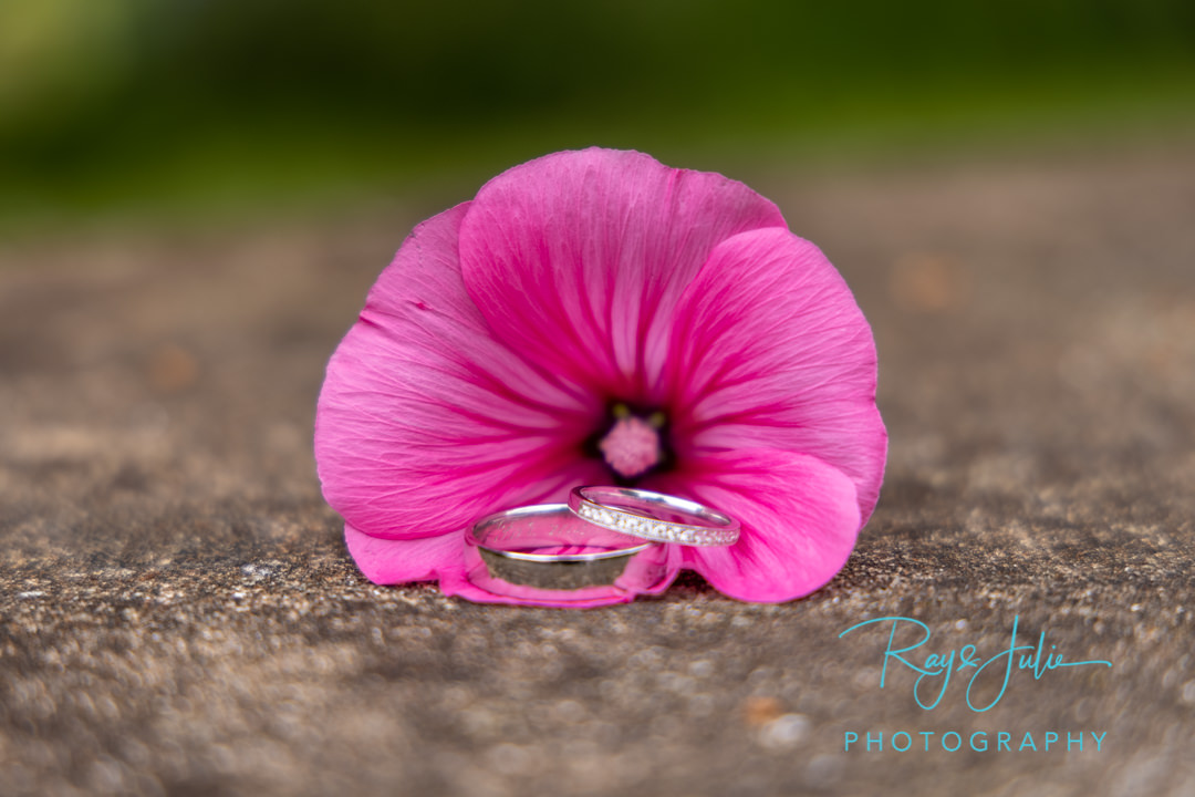 Wedding rings in a flower