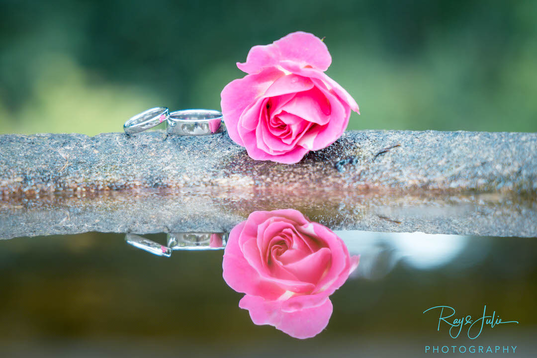 Wedding rings with flower and water reflection